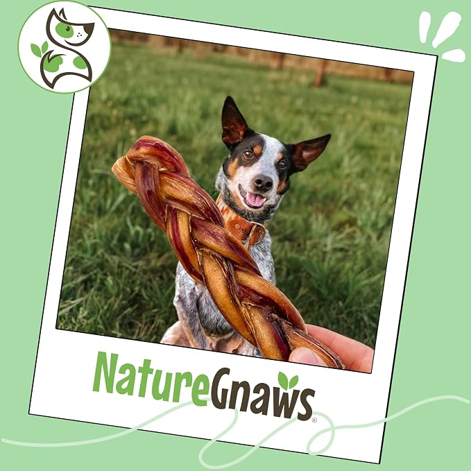 Nature Gnaws Braided Bully Sticks 5-6" for Small Dogs, 3 Count