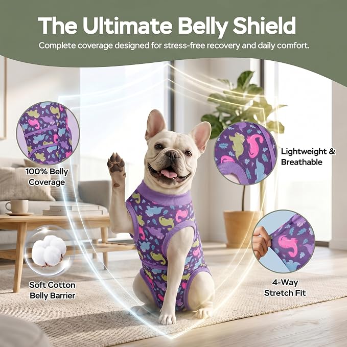 PetWarm Post Surgery Dog Onesie, Dog Coat's Inner Clothes, Substitute E-Collar and Cone, Pet Surgery Recovery Suit, Anti-Licking Dog Surgery Recovery Suit Soft, Dinosaur Pattern, Purple, 2XL