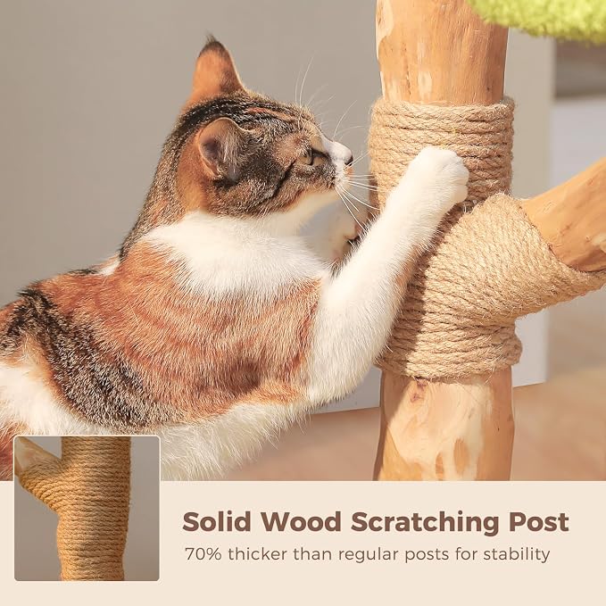 MUTTROS Flower Wood Cat Tree, 53.5" Modern Cat Tower with 2 Condos | Natural solid wood scratching post, durable 2 condos and forest-style design for indoor and multi-cat households