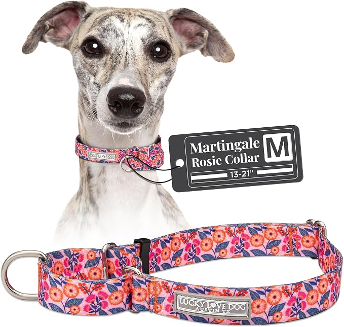 Lucky Love Dog Martingale Collar for Medium Dogs No Slip – Rosie, Medium