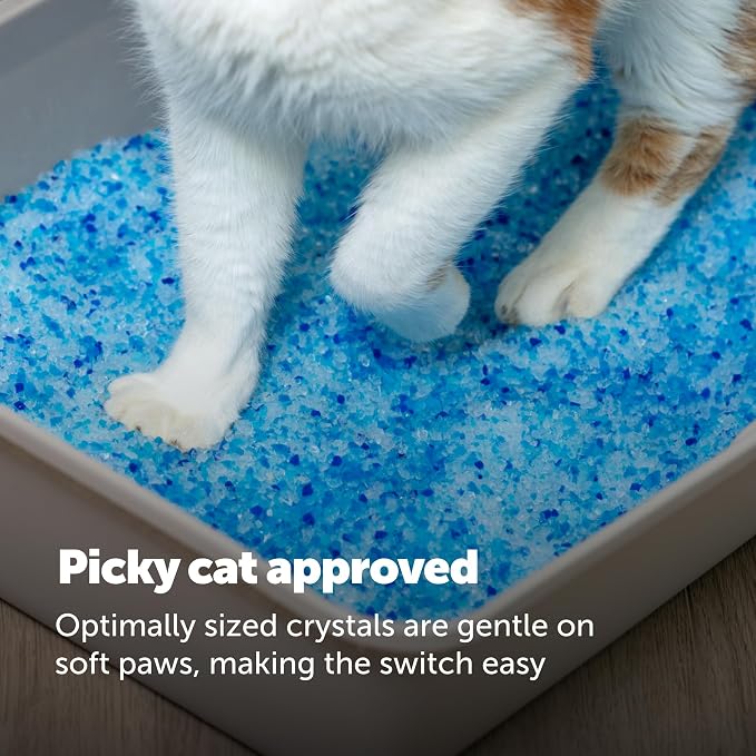 PetSafe ScoopFree Odor Control Crystal Cat Litter, Fresh Scent, 8 Lb Bag | 5x Faster Odor Control than Clumping Clay Litter, 99% Dust-Free, Low Tracking Crystals, Compatible with Any Cat Litter Box