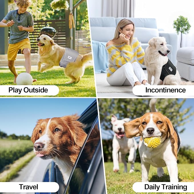 Washable Male Dog Diapers Reusable, Premium Belly Bands for Male Dogs, Pack of 3, High Absorbing Extra Extra Large Male Dog Pee Wraps for Puppy in Incontinence or Excitable Urination and Training(XXL) | High Absorbing puppy pants, Pee Wraps for Doggie,...