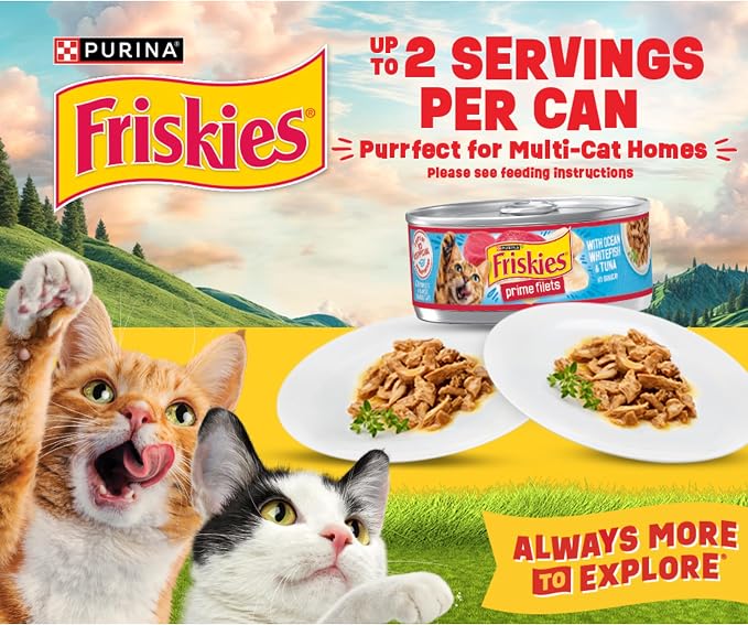 Purina Friskies Wet Cat Food Variety Pack, Tasty Treasures Prime Filets (With Ocean Fish and Tuna, With Chicken and With Turkey) - 5.5 Ounce (Pack of 12)