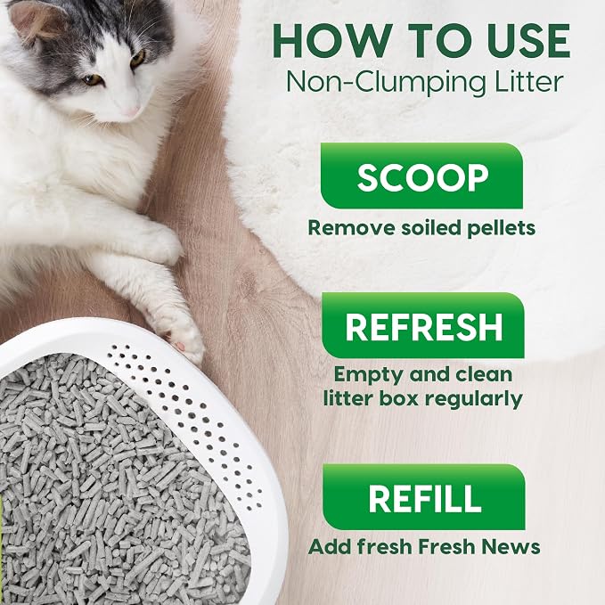 Fresh News Recycled Paper Original Pellet Cat Litter, 12 Pound, Non-Clumping, Unscented, Made in USA (Pack of 3)