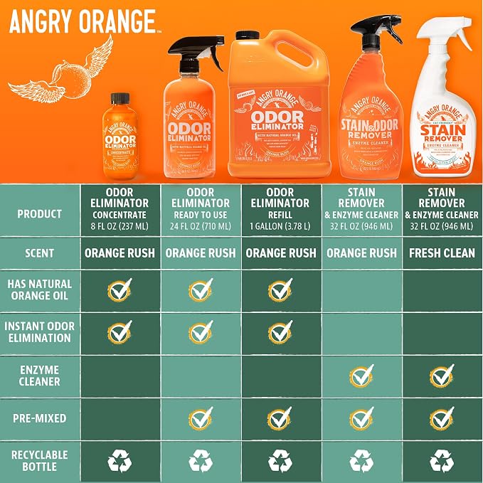 Angry Orange Pet Odor Eliminator for Dog and Cat Urine, Carpet Stains, and Strong Smells – Orange Rush Scent Cleaner – 1 Gallon