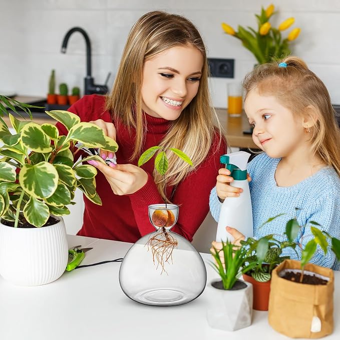 Large Avocado Grow Vase Glass Acorn Seed Starter Vase Planter for Growing | Premium Glass Avocado Growing Vases, Clear Avocado Pit Planter, Transparent Bulb Vase, Ideal for Gardening Indoor Hydroponics