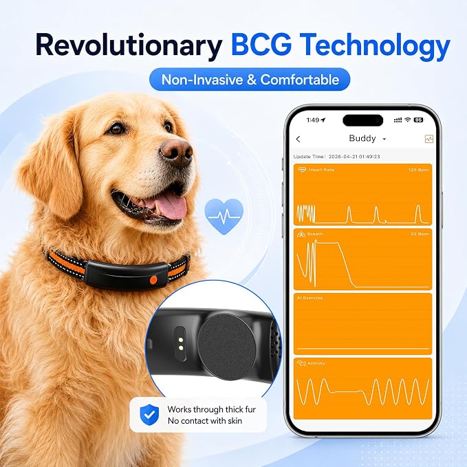 4G LTE GPS Pet Tracker & Virtual Fence, Real-Time Location, Heart Rate & Activity Monitor, Remote Training Smart Collar for Large Cats, Small, Medium and Large Dogs (Black)