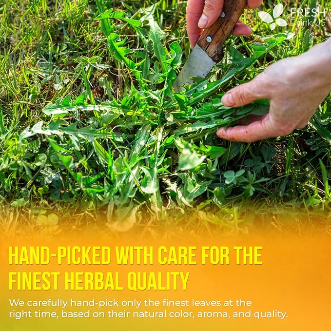 FreshDrinkUS, Premium 135 Dandelion Leaves and Roots Tea Bags, 100% Natural & Pure, Herbal Tea, Daily Infusion Botanical, No Sugar, No Caffeine, No Gluten, Vegan. Powerful Support.