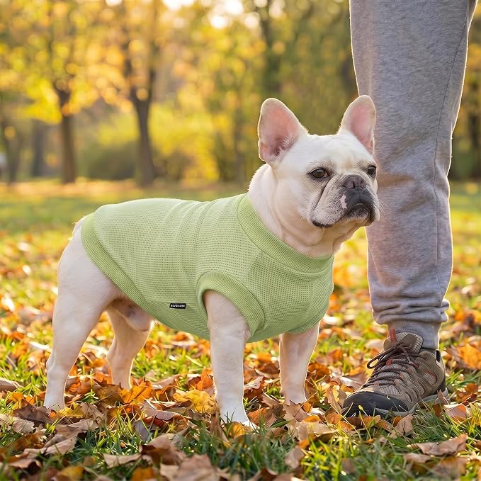 1 Pack Dog Shirt for Small Supplies Functional Waffle Dog Clothes Warm Soft Sweatshirt Outfit for Dogs Cats Pet Apparel