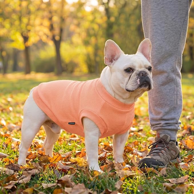 2 Pack Dog Shirt for Small Supplies Functional Waffle Dog Clothes Warm Soft Sweatshirt Outfit for Dogs Cats Pet Apparel