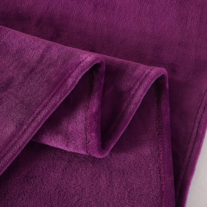 TASTHROW Large Flannel Fleece Throw Blanket, 50×70 Inch | Cozy Lightweight Thick Blanket - All Seasons Suitable for Women, Men and Kids (Two Pack, Purple)