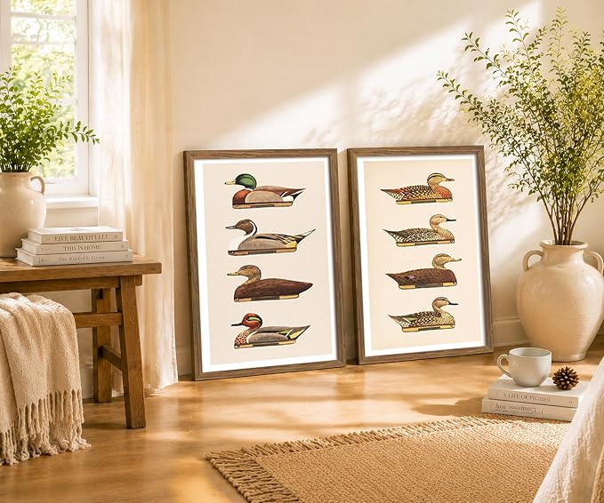 Vintage Duck Wall Art Set of 2 Framed, Waterfowl Bird Prints | Antique Natural History Artwork for Lake House Farmhouse Decor 16x24 Inches