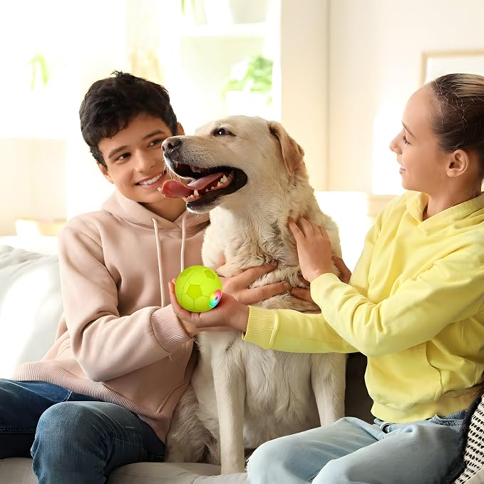 ALL FOR PAWS Interactive Dog Toy, Smart Moving Ball with 2 Play Modes, E-TPU Material, USB Rechargeable Motion-Activated Bouncing Ball for Medium Large Dogs, Automatic Rolling Keeps Dog Busy