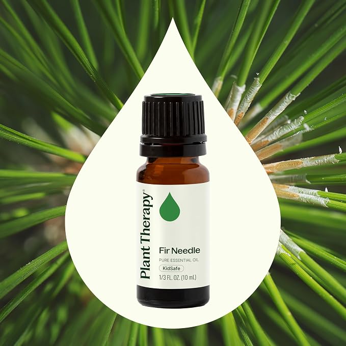 Plant Therapy Fir Needle Essential Oil 10 mL (1/3 oz) 100% Pure, Undiluted, Fresh Scent, Respiratory Support, DIY Cleaners
