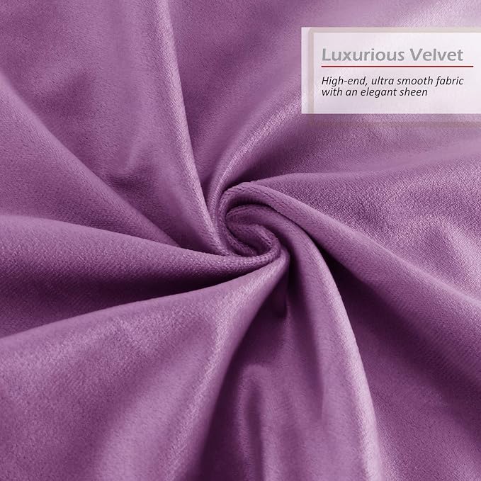 Throw Pillow Inserts Pack of 2 with Velvet Soft Solid Decorative Square Throw Pillow Covers Set for Sofa Couch Car Bedroom, 18X18 Throw Pillows Inserts with 16x16 Washable Cushion Covers, Lavender