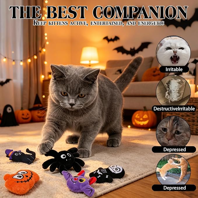 EXPAWLORER 5Pcs Halloween Catnip Toys for Cats-Pumpkin, Bat, Spider, Skeleton & Witch Cat, Cat Chew Toy with Crinkle Paper for Interactive Play & Relieve Boredom, Perfect for Teething Exercise & Gift