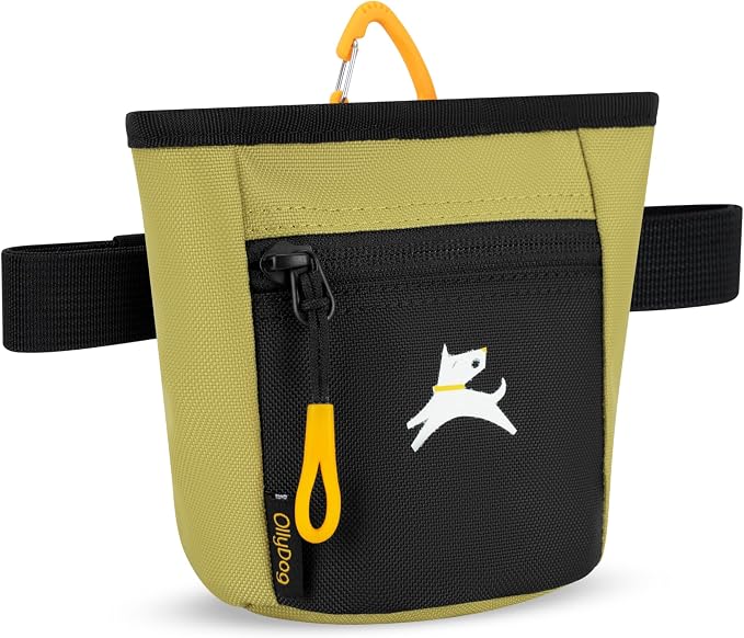 OllyDog, Goodie Treat Bag, Dog Treat Training Pouch | Magnetic Closure | 3 Ways to Wear | Hands-Free Waist Belt | Water-Resistant Recycled Vegan Fabric (Alchemy)