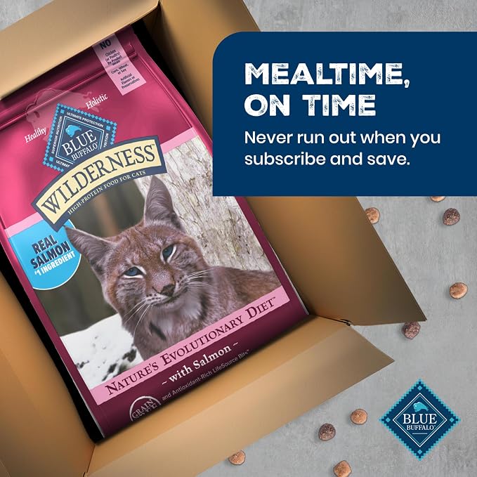 Blue Buffalo Wilderness Salmon Adult Dry Cat Food, Grain-Free, 11 lb | Real Salmon #1 Ingredient, High Protein Nutrition, Supports Immunity with Antioxidant-Rich LifeSource Bits