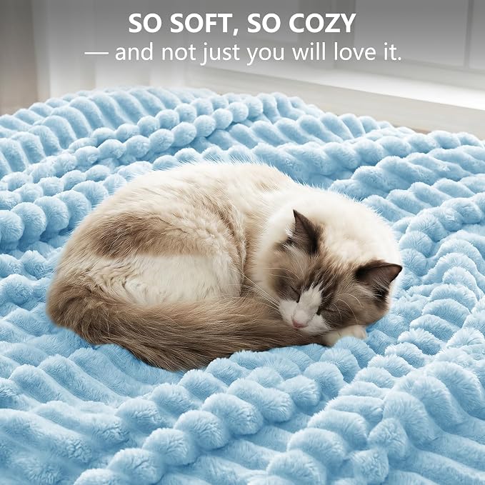 Light Blue Twin Blanket for Bed & Couch, 60 x 80 Inch | 300GSM Ribbed Fleece Blanket, Soft, Cozy & Lightweight, OEKO-TEX Certified, All-Season Use for Travel, Dorm & Home Decor