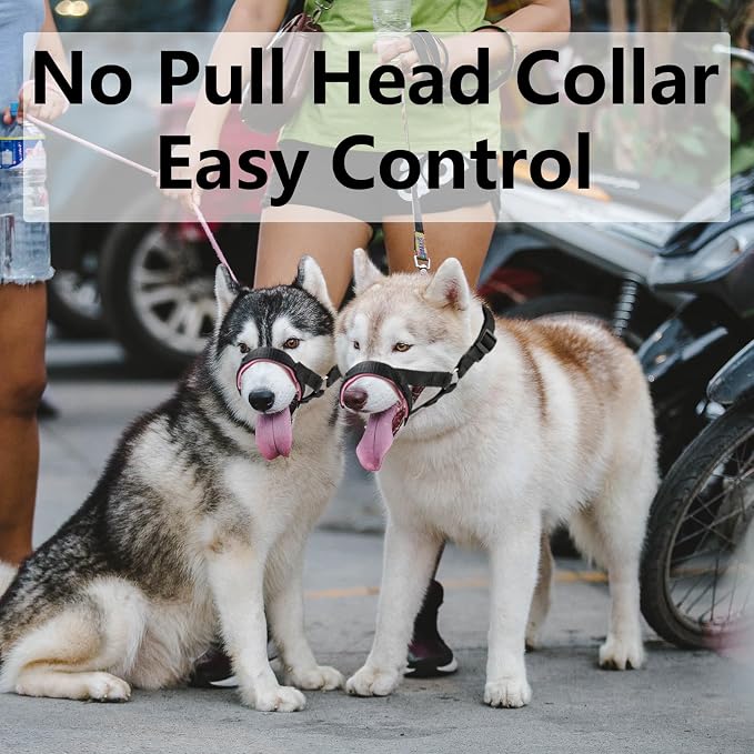 Dog Head Collar with Soft Fabric, Head Harness Stops Dog Pulling, Head Leash for Small Medium Large Dogs Walking (M,Orange)