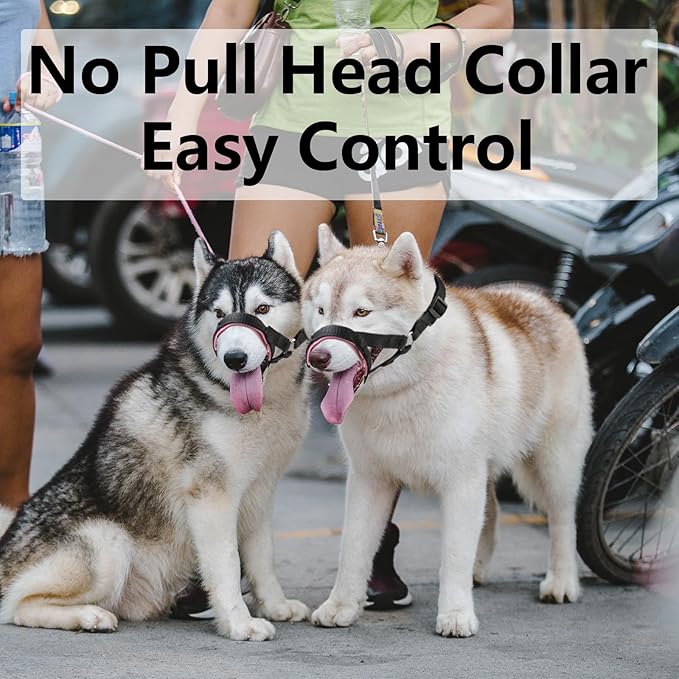 Dog Head Collar with Soft Fabric, Head Harness Stops Dog Pulling, Head Leash for Small Medium Large Dogs Walking (M,Apple Green)