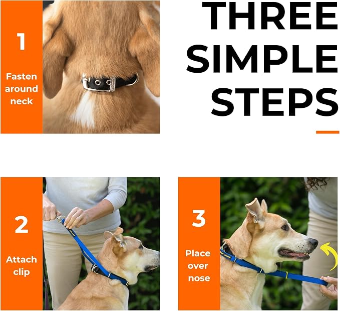 Canny Gentle No-Pull Dog Training Head Collar to Stop Pulling Black Size 4