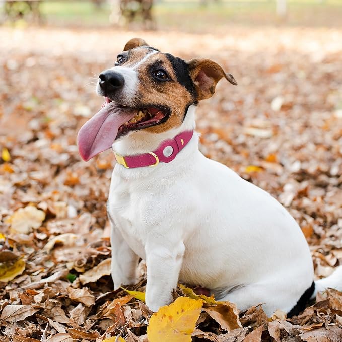 Leather Airtag Dog Collar - Soft Tracking Dog Collar with Apple AirTag Holder and Metal Buckle - Safety GPS Pet Collars for Small Medium Large Dogs Puppy Pink Red (Pink, XL, 20"-25" Neck Fit)