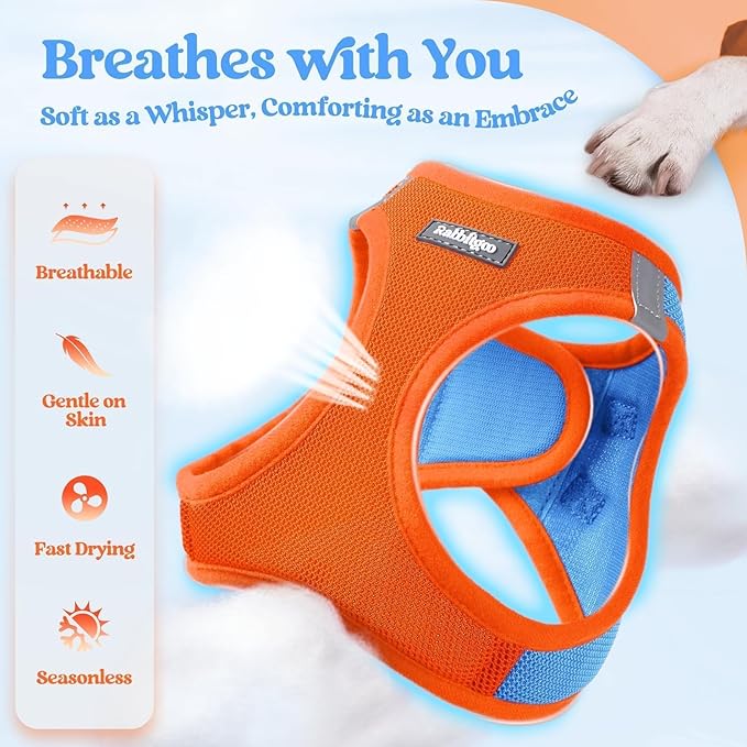 rabbitgoo Dog Harness Small Sized and Leash Set, Step-in Puppy Pet Vest | Light, Soft, Breathable Air Mesh, Easy on and Remove with Hook & Loop, Secure Reflective for Walking, Blue & Orange M