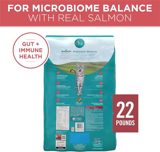 Purina ONE Natural Dry Cat Food, Tender Selects Blend with Real Salmon - 22 lb. Bag
