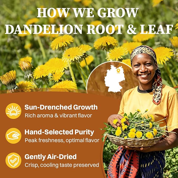 SKMTT Dandelion Root Tea Bags, 60 Count (2g/bag) – Natural Dandelion Leaf & Root Herbal Tea, Caffeine Free & Non-GMO, Roasted Earthy Flavor