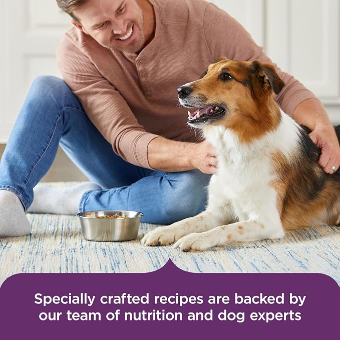 Nutrish Beef Stroganwoof Wet Dog Food, 8 oz. Tub (Pack of 8) (Rachael Ray) | Made with Green Beans, Tomatoes & Rice Pasta, No Artificial Flavors, No Added Corn, Wheat or Soy Ingredients