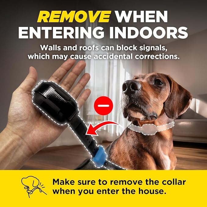 Dogtra Smart Fence & 50 Training Flags Bundle | No Subscription, 2-Tier Alarm & App Alerts, No-Dig Up to 3/4 Acre, Tone/Vibration/Static, IPX9K Waterproof, Wireless Electronic Dog Fence System Pets 35