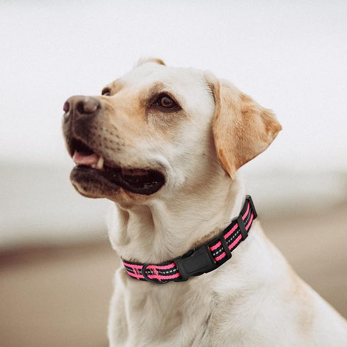 Mile High Life Reflective Dog Collar, Adjustable Lightweight Quick Release