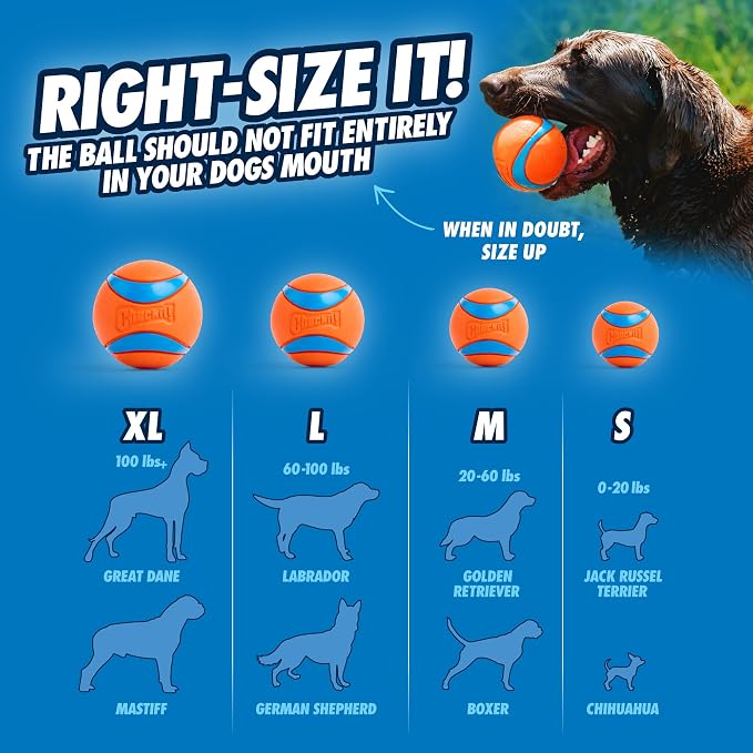 Chuckit! Ultra and Rugged Dog Balls, High-Bounce Fetch, Medium, Set of 3