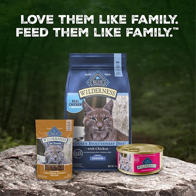 Blue Buffalo Wilderness Salmon Paté Adult Wet Cat Food, 3 oz, 24 ct | Real Salmon #1 Ingredients, High Protein & Grain-Free Recipes, Supports Energy for an Active Life