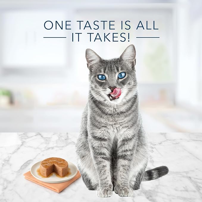 Blue Buffalo Tastefuls Natural Pate Wet Cat Food,Chicken Entrée 5.5-oz cans,(Pack of 48)