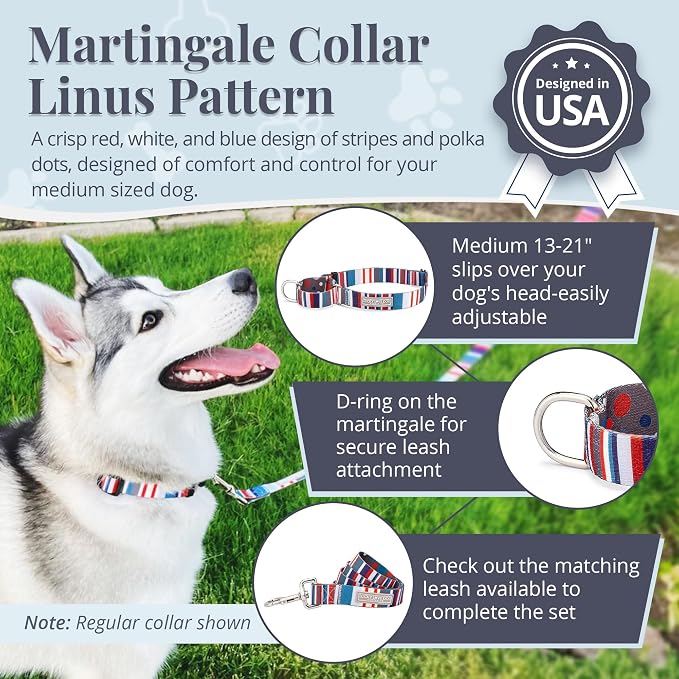 Lucky Love Dog Martingale Collar for Medium Dogs No Slip – Linus, Medium