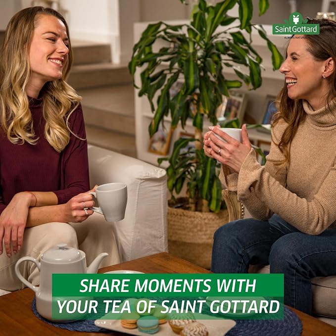 [Lemon Lime Ginger & Mint] Saint Gottard Herbal Tea – Caffeine-Free Herbal Infusion, Natural Ingredients, Hot or Iced Tea, Organic Premium Flavor Blend, Aromatic & Smooth Taste, 40 tea bags