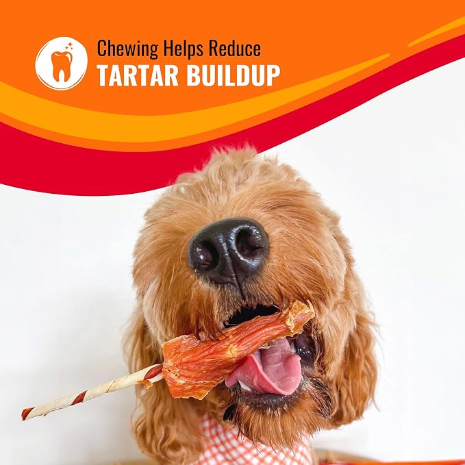 Good 'n' Fun Twists Long-Lasting Dog Treat Made With Real Protein, 22 Count | Premium Chicken, Pork and Beef Hide Chew, Supports Dental Health and Mental Stimulation, For Adult Dogs