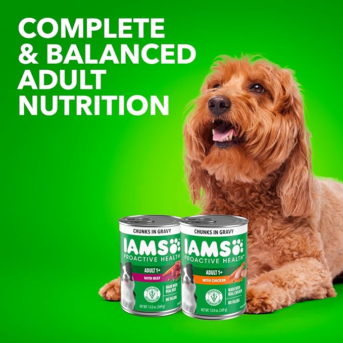 IAMS Proactive Health Chunks in Gravy Wet Dog Food, Beef, 13 oz, 12 Pack | Real beef, chunks in gravy, Omega-6 for skin & coat, no fillers or artificial flavors, 100% complete & balanced, canned food