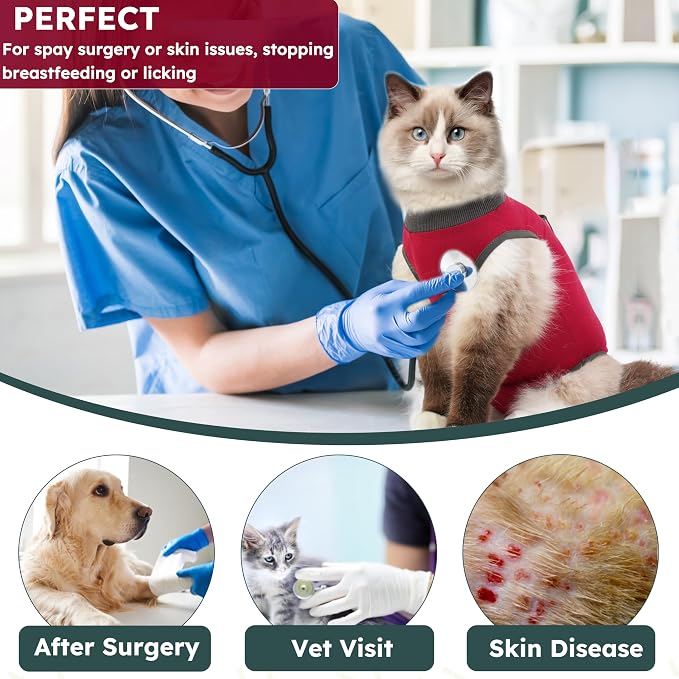 Hpetppy Cat Recovery Suit for Spay Abdominal Wounds, Kitten Onesie Bodysuit for Cats After Surgery, Cat Surgery Recovery Suit Female Cone of Shame Alternative for Cats Anti Licking (Red,M)
