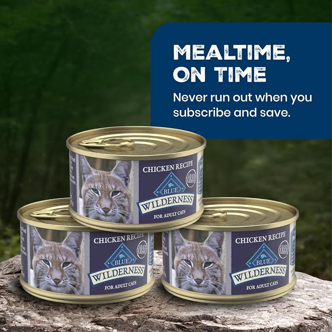 Blue Buffalo Wilderness Chicken Adult 7+ Wet Cat Food Paté, 5.5 oz, 24 ct | Real Chicken #1 Ingredient, High Protein & Grain-Free Recipe, Supports an Active Lifestyle