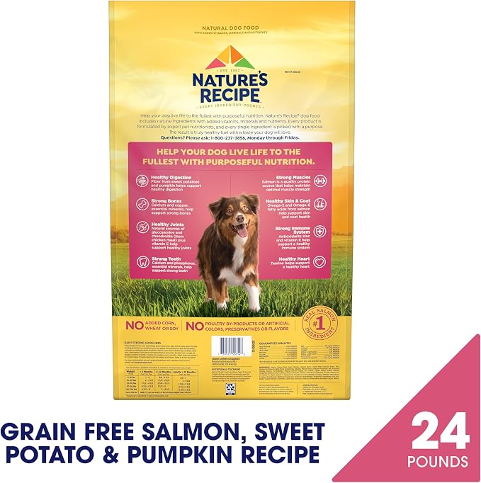 Nature's Recipe Grain Free Salmon Dry Dog Food, 24 lb. Bag | Fiber From Sweet Potatoes & Pumpkin Helps Support Digestion and Immune System Health