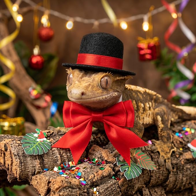 Bearded Dragon Pet Costume Clothes, Elegant 3-Piece Holiday Set | Felt hat and satin bowties with elastic nylon cords ensure secure, comfortable styling at weddings or birthday parties