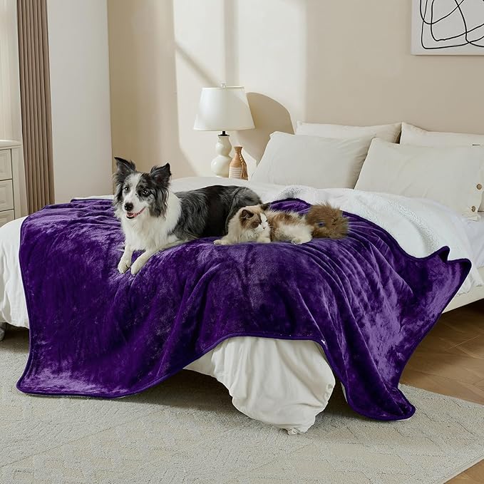 Soft Waterproof Blanket for Bed Couch Sofa, Dark Purple, 60x80inches | Liquid Pee Proof Pet Blanket for Dog Puppy Cat, Reversible Sherpa Fleece Blanket for Couch Cover, Furniture Protector