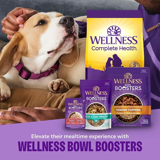 Wellness Complete Health Adult Dry Dog Food, Wholesome Grain Kibble, Natural, Lamb and Barley Recipe, 5 lb Bag