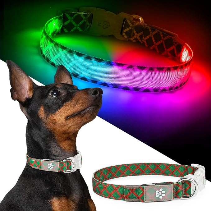 Light up Dog Collar Rechargable - Multicolor LED Dog Collar, 7 Colors Safety Dog Lights with Battery Indicator, Waterproof and Adjustable Argyle Print Glow Collar for Dogs (Festive Plaid, L)