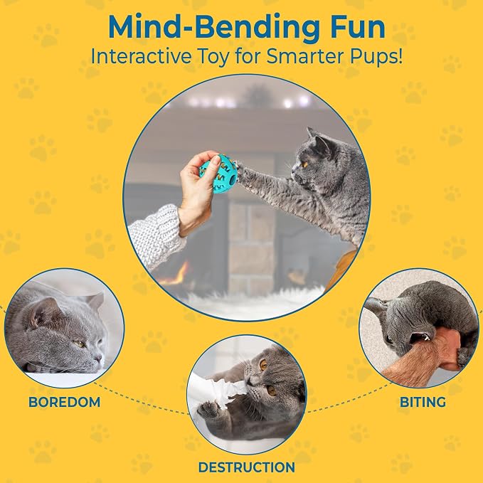 SunGrow 2-Pack Dog Treat Balls, Puzzle Food Interactive Treat Dispensers, Hide Treats Inside, Puppy Treat Dispensers for Training, Small Dog Enrichment Balls for Boredom, Mental Stimulation for Puppy