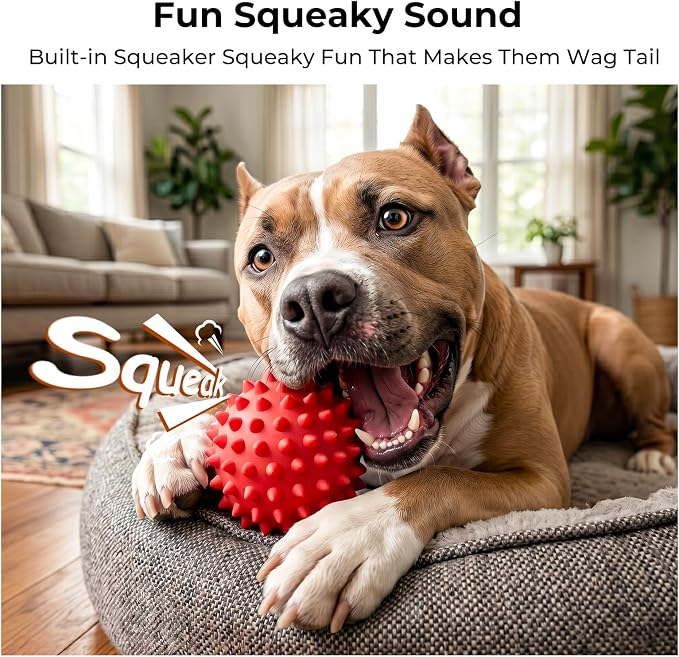 Beef-Flavored 3.5'' Tough Squeaky Ball for Dogs, 25-80lbs Pack of 2