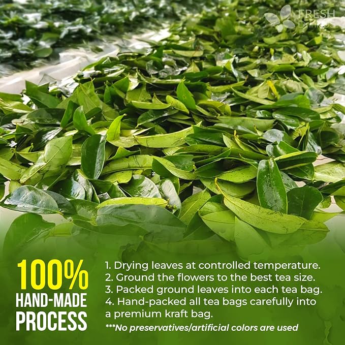 FreshDrinkUS, 105 Premium Soursop Graviola Leaf Tea Bags, The Finest Soursop Tea, 100% Natural and Pure, Handmade, Made With Natural Materials-Corn Fiber Tea Bag, Sugar/ Caffeine/ Gluten Free, Hoja Guanabana Tea